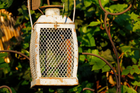 solar garden lamp in front of green wall