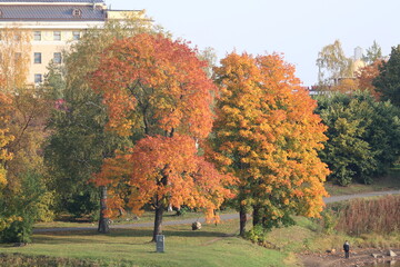 autumn in the city