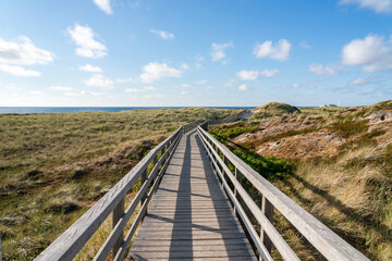 Walking trail along the dunes, North Sea coast, Sylt, Schleswig-Holstein, Germany - obrazy, fototapety, plakaty