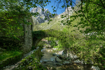 Fototapeta na wymiar Old bridge in the river Duje. Tielve. Asturias. Spain