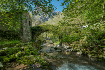 Old bridge in the river Duje. Tielve. Asturias. Spain