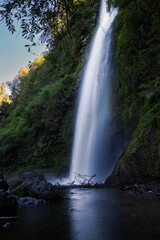 Fototapeta premium Waterfall in the middle of chilean forest