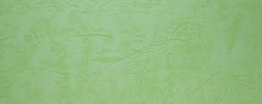 Green Paper For Background.it Is Empty Space And No People.