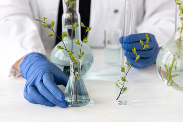 Concept of pure natural organic plant-based ingredients and water in cosmetology. Scientist doing research, test in laboratory. Wearing blue medical gloves. Anti-age and anti-acne therapy, skin care