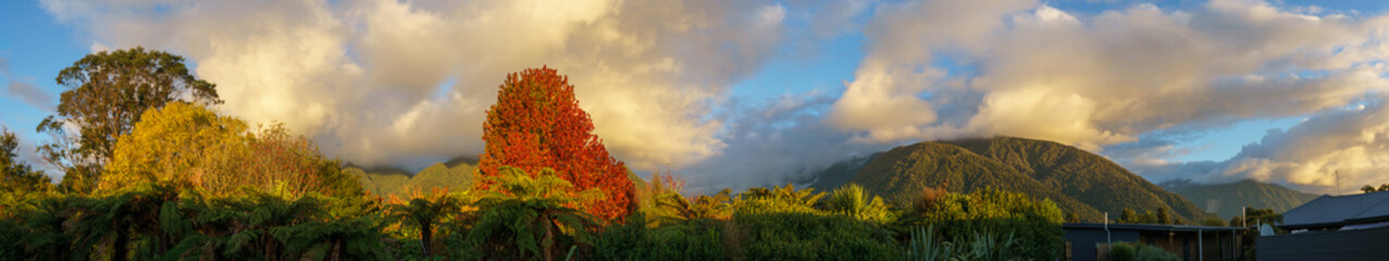 Obraz premium Fox landscape at sunset