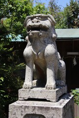 下関市長府の乃木神社の狛犬