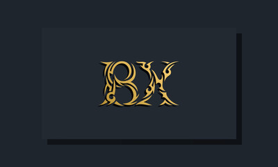 Luxury initial letters BX logo design. It will be use for Restaurant, Royalty, Boutique, Hotel, Heraldic, Jewelry, Fashion and other vector illustration