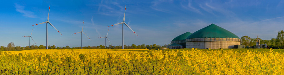 Panorama view of countryside with biogas plant and winmills. Yellow flowering rapeseed field with...