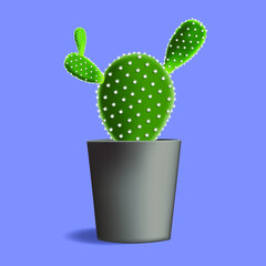 Catus in the grey pot. Cactus is blooming. design vector illustration.