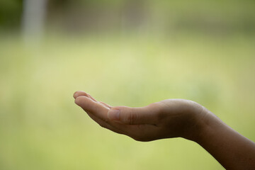 Women hand on blurred abstract green nature light background.