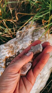 Person Picking up rocks