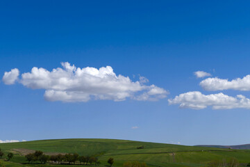 Obraz premium the arrival of spring, green landscape pictures, greening trees, nature landscape,