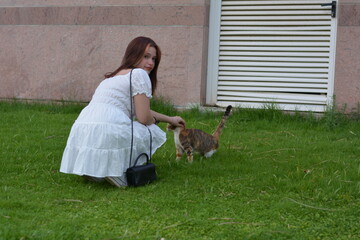 girl in white dress playing with street cat on green grass