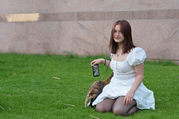 girl in white dress playing with street cat on green grass