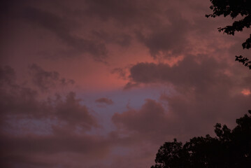 Stormy sunset tree silhouettes