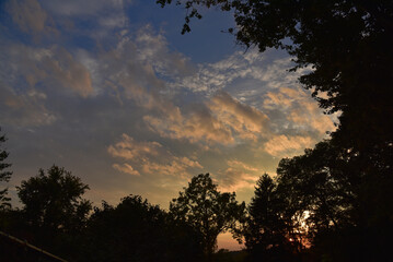 Fototapeta na wymiar Bright Sunset Silhouette 