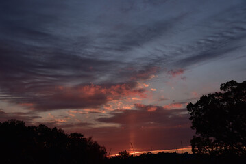 Obraz premium sunset over a cornfield