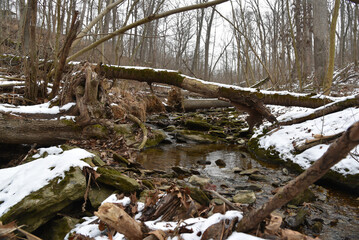 stream during winter