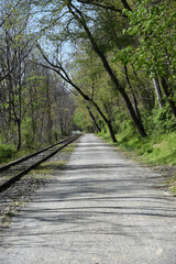 Obraz premium railroad trail