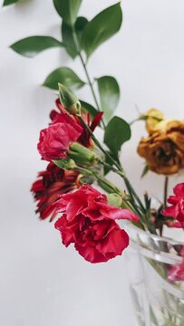 beautiful bunch of flowers in a vase, flowers, beautiful flowers, plants in vase, vertical video, social media, vertical video footage, social media footage, footage for social media