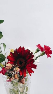 beautiful bunch of flowers in a vase, flowers, beautiful flowers, plants in vase, vertical video, social media, vertical video footage, social media footage, footage for social media,