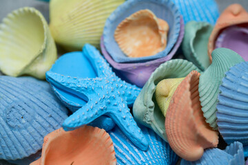 カラフルな貝殻の小物