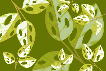 pattern with green leaves monstera background