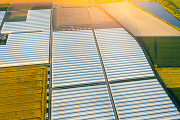 Aerial view of huge greenhouse fields, agriculture, growing vegetables in greenhouses