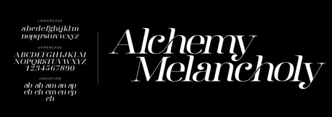 Elegant Font Uppercase Lowercase and Number. Classic Lettering Minimal Fashion Designs. Typography modern serif fonts regular decorative vintage concept. vector illustration © munkyfactory