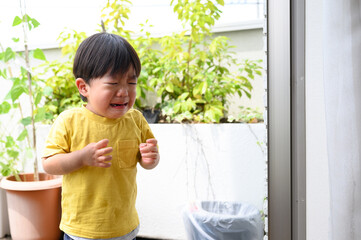 2歳のイヤイヤ期