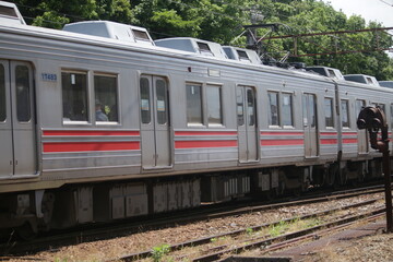 Naklejka premium 富山地方鉄道の電車