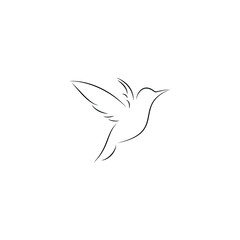 bird silhouette illustration beautiful outline design art 