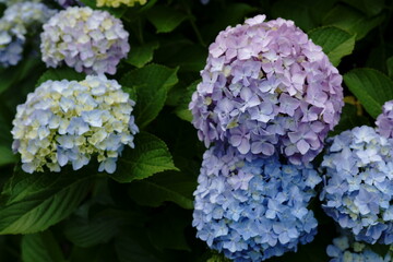 Hope you enjoy this beautiful spring season