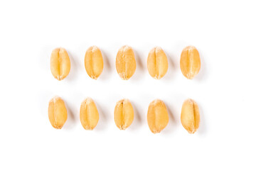 wheat seeds isolated on white background