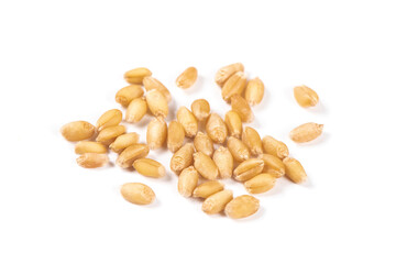 heap of wheat seeds isolated on white background