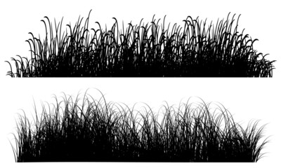 grass silhouette, grass black white