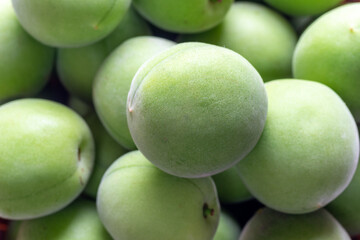 Harvested immature Japanese apricot fruit 