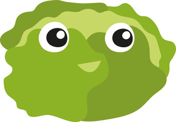 Fototapeta premium cabbage