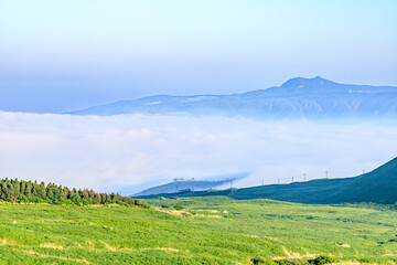 Obraz premium 初夏の阿蘇パノラマラインから見た雲海 熊本県阿蘇市 Sea of ​​clouds seen from Aso panorama line in early summer. Kumamoto-ken Aso city.