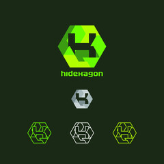 letter h in abstract hexagon logo in green color