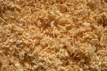 Texture created by fir and pine wood chips in a carpentry with soft lighting