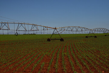 Irrigation system on agricultural property