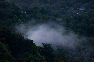 Fototapeta na wymiar Misty Hills of Kuttikkanam. Beautiful landscape in a foggy morning.