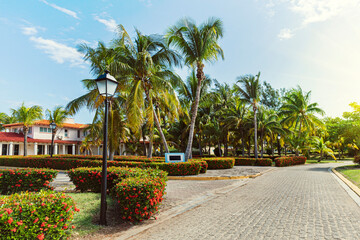 Beautiful home among palm trees on a tropical island in the South. Luxury house seen through trees...