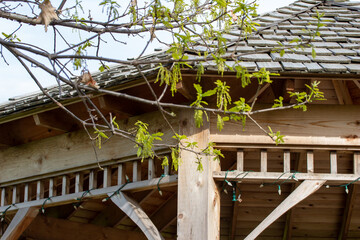 Close up partial view of a  wooden gazebo with tree branches near its roof and blue sky