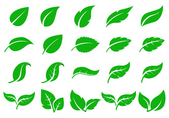 green leaf icon set on a white background
