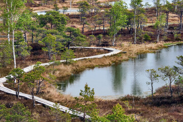 Fototapeta na wymiar Kemeri national park, Latvia, Northern Europe: Peaceful nature of Kemeri Great swamp with small tiny lakes and swampy floodplain in Kemeri, Latvia