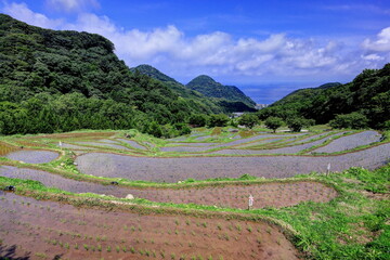 石部の棚田