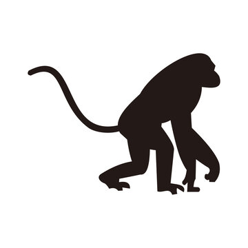 monkey icon vector illustration symbol