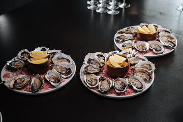 Opened Oysters on a white plate with lemon on dark wooden background, seafood, mollusk, luxury